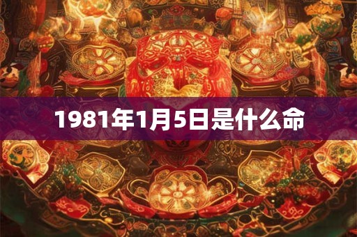 1981年1月5日是什么命