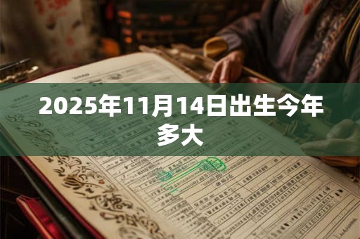 2025年11月14日出生今年多大
