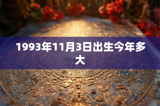 1993年11月3日出生今年多大