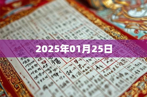2025年01月25日