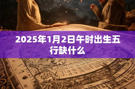 2025年1月2日午时出生五行缺什么