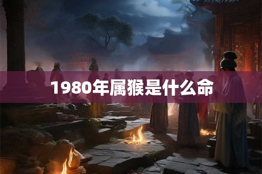 1980年属猴是什么命