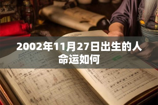 2002年11月27日出生的人命运如何