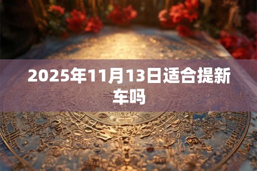 2025年11月13日适合提新车吗