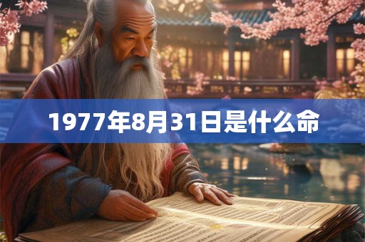 1977年8月31日是什么命