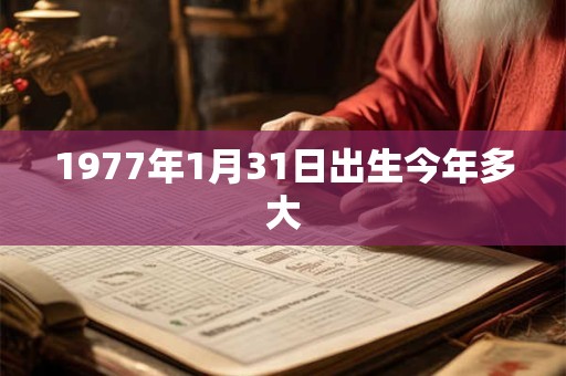 1977年1月31日出生今年多大