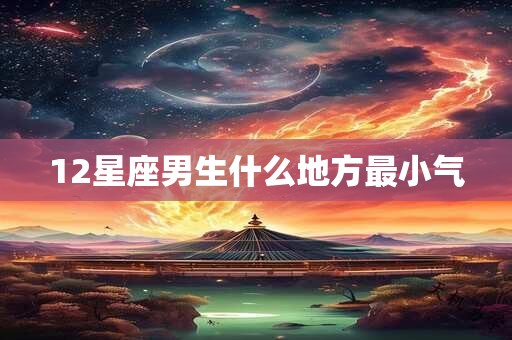 12星座男生什么地方最小气