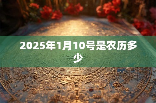 2025年1月10号是农历多少