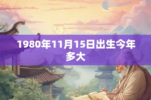 1980年11月15日出生今年多大