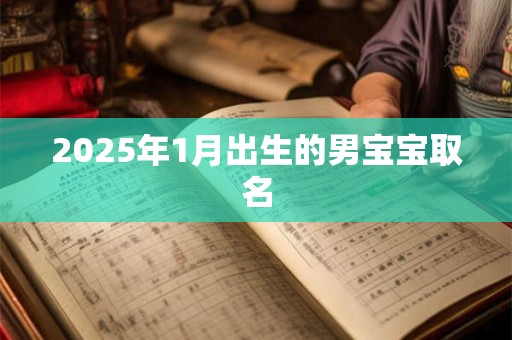 2025年1月出生的男宝宝取名
