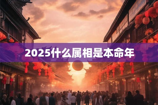 2025什么属相是本命年