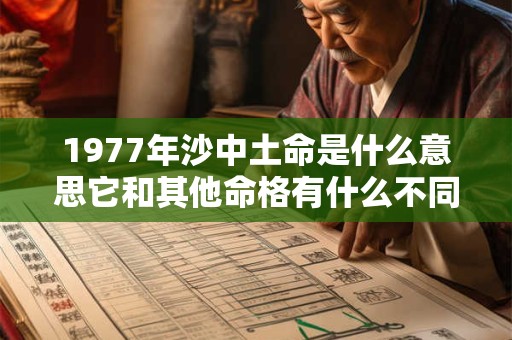 1977年沙中土命是什么意思它和其他命格有什么不同