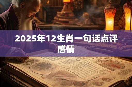 2025年12生肖一句话点评感情