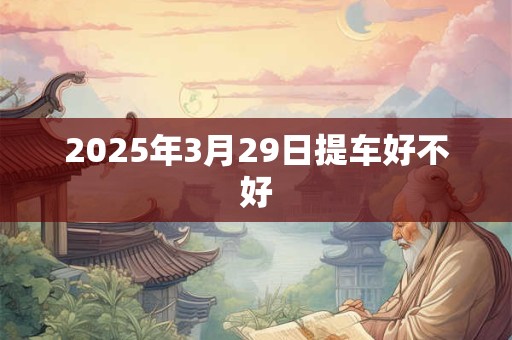 2025年3月29日提车好不好