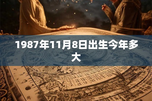 1987年11月8日出生今年多大