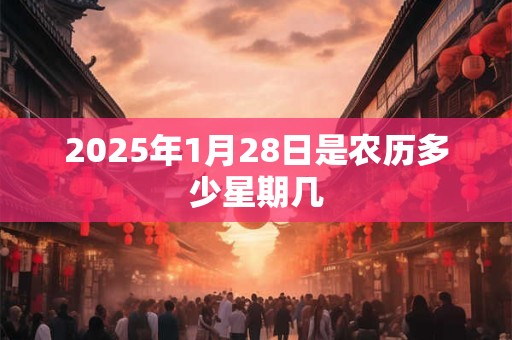 2025年1月28日是农历多少星期几