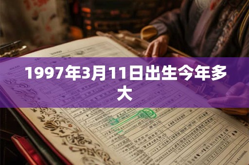 1997年3月11日出生今年多大