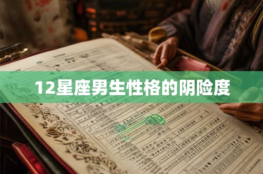 12星座男生性格的阴险度