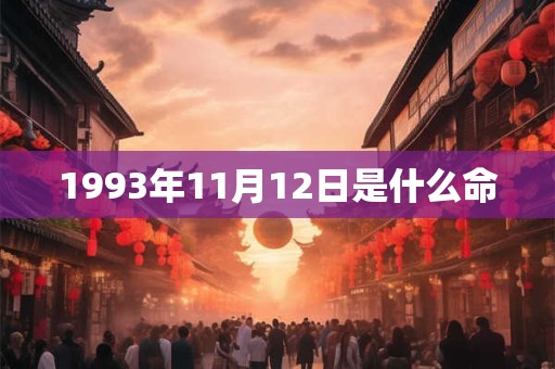 1993年11月12日是什么命