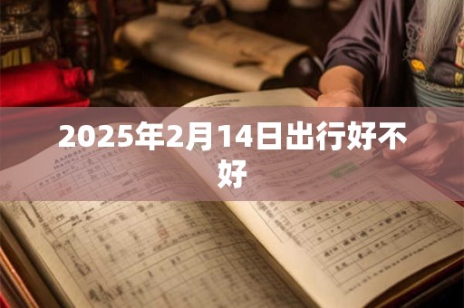 2025年2月14日出行好不好