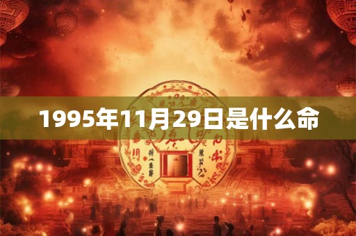1995年11月29日是什么命