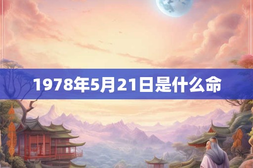 1978年5月21日是什么命