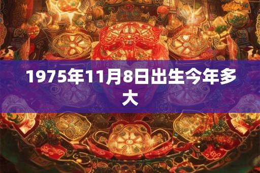 1975年11月8日出生今年多大
