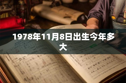 1978年11月8日出生今年多大
