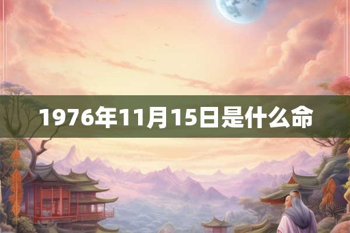 1976年11月15日是什么命