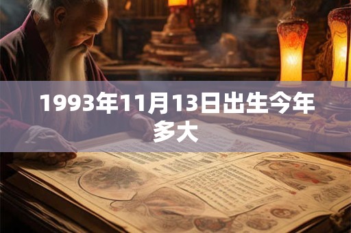 1993年11月13日出生今年多大