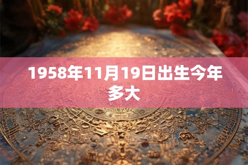 1958年11月19日出生今年多大