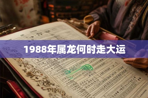 1988年属龙何时走大运