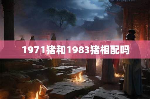 1971猪和1983猪相配吗