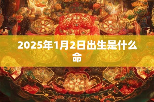 2025年1月2日出生是什么命