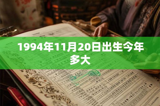 1994年11月20日出生今年多大