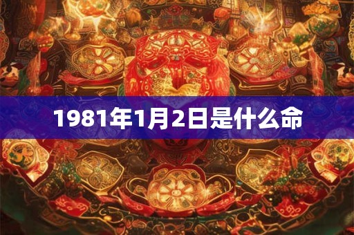 1981年1月2日是什么命