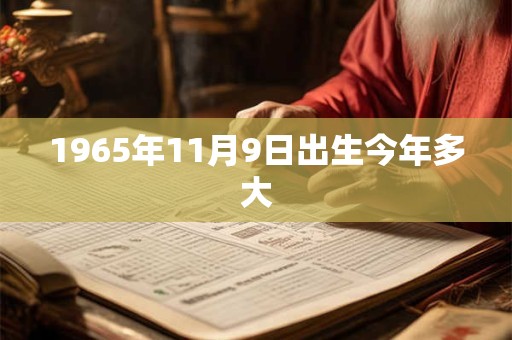 1965年11月9日出生今年多大
