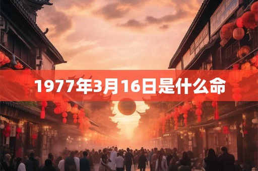 1977年3月16日是什么命