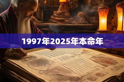 1997年2025年本命年