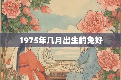 1975年几月出生的兔好