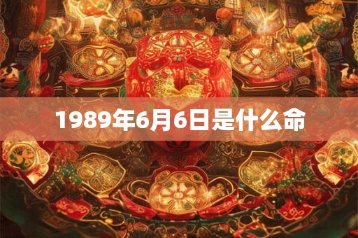 1989年6月6日是什么命