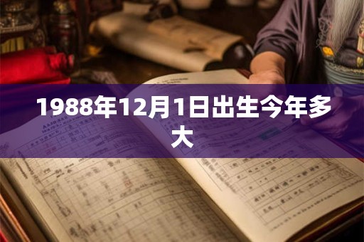 1988年12月1日出生今年多大