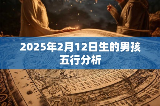 2025年2月12日生的男孩五行分析