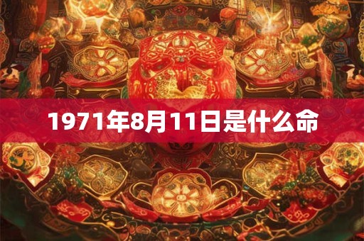 1971年8月11日是什么命