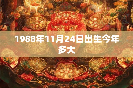 1988年11月24日出生今年多大