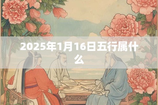 2025年1月16日五行属什么