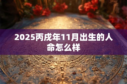 2025丙戌年11月出生的人命怎么样