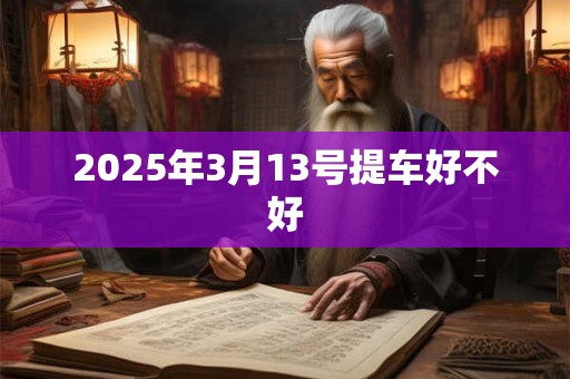 2025年3月13号提车好不好