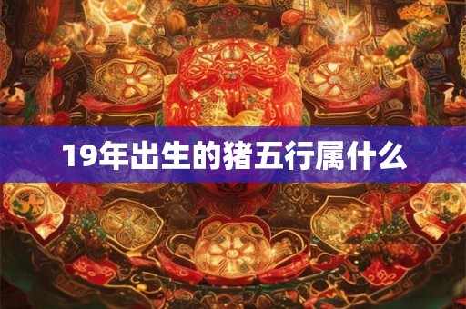 19年出生的猪五行属什么