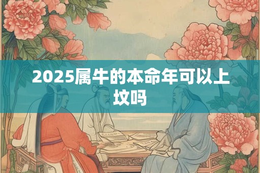 2025属牛的本命年可以上坟吗